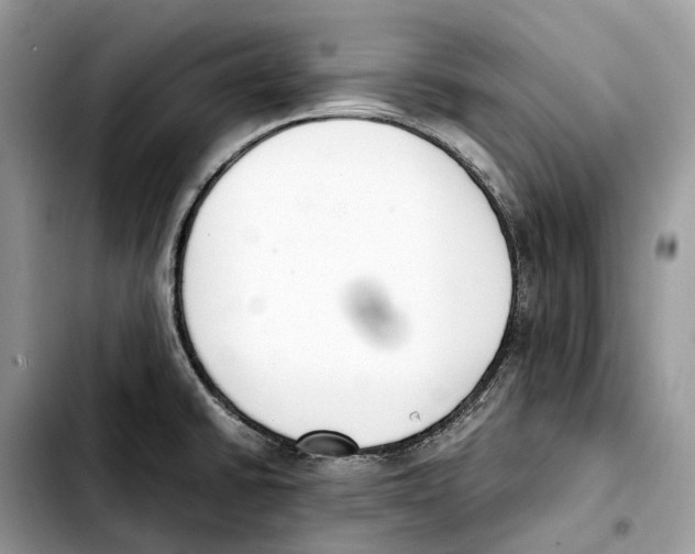 X0000103451430200810101117