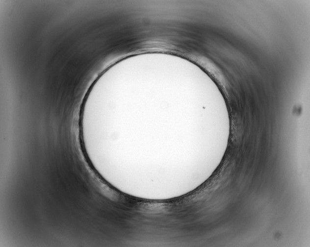 X0000103451431200810101117