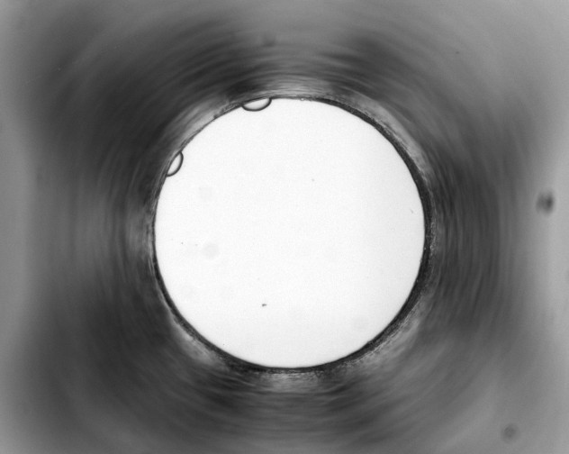 X0000103451433200810101117