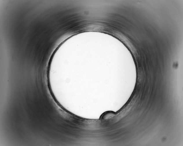 X0000103451434200810101117