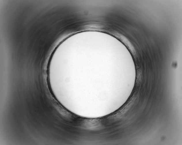 X0000103451435200810101117