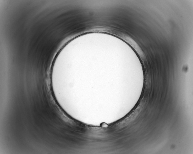 X0000103451436200810101117