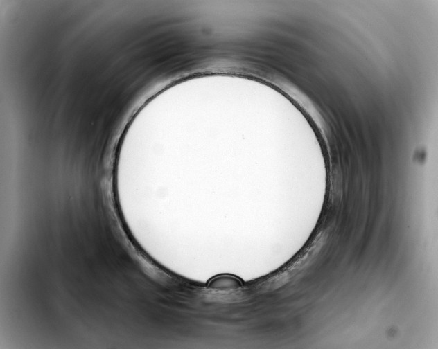 X0000103451437200810101117