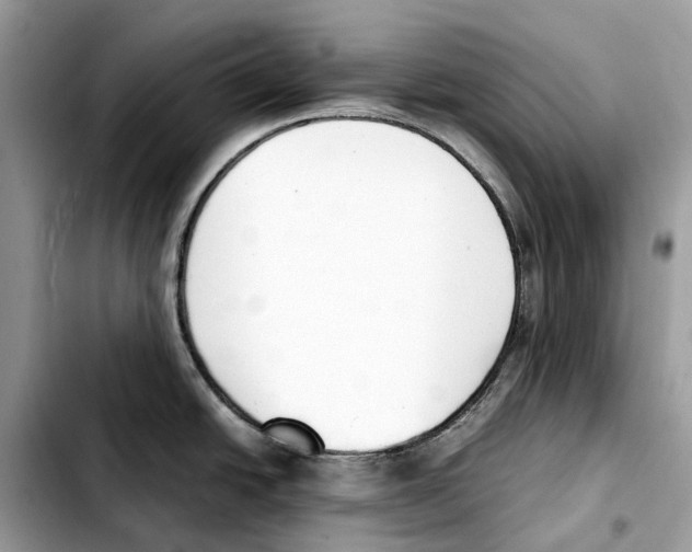 X0000103451438200810101117