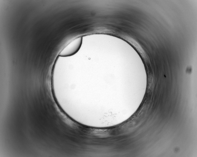 X0000103451439200810101117