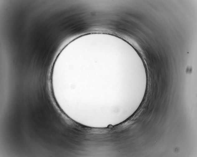 X0000103451440200810101117