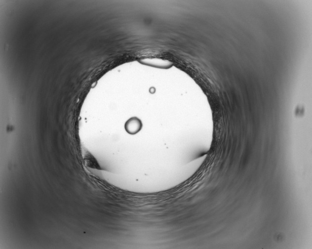 X0000103451441200810101117