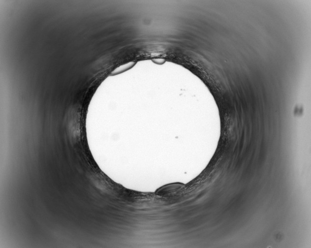 X0000103451442200810101117