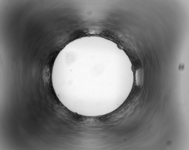 X0000103451443200810101117