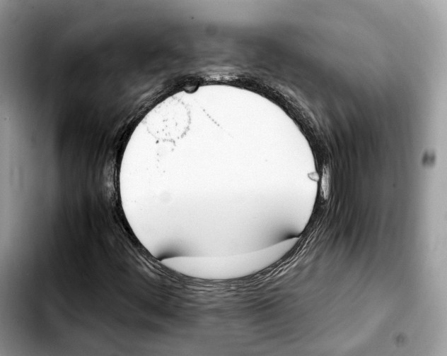 X0000103451444200810101117