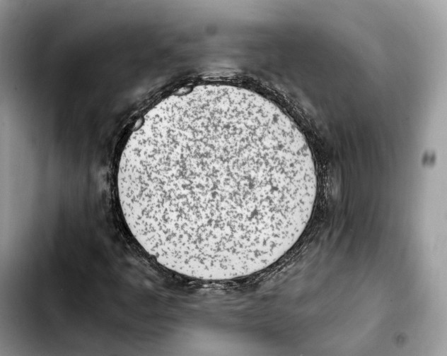 X0000103451445200810101116