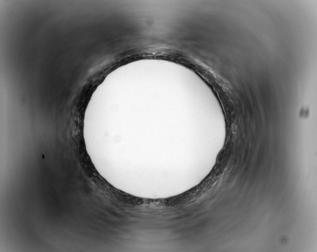 X0000103451447200810101116