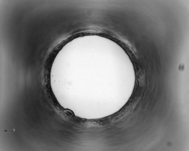 X0000103451448200810101116