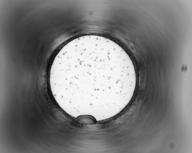 X0000103451453200810101116