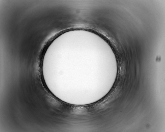 X0000103451454200810101116