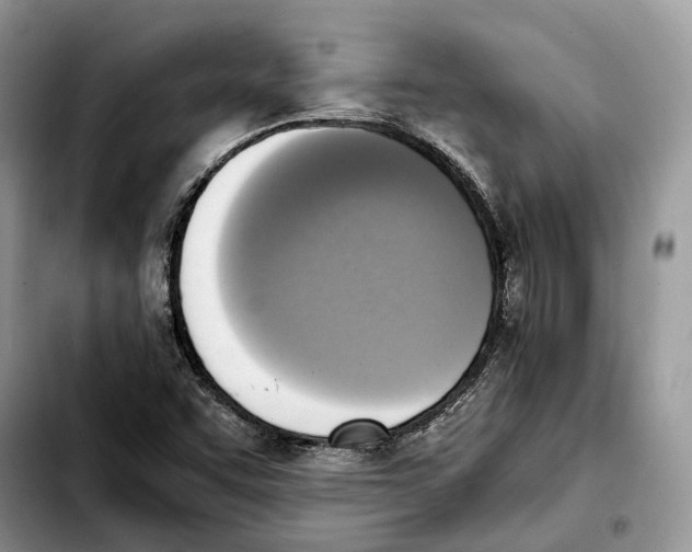 X0000103451455200810101116