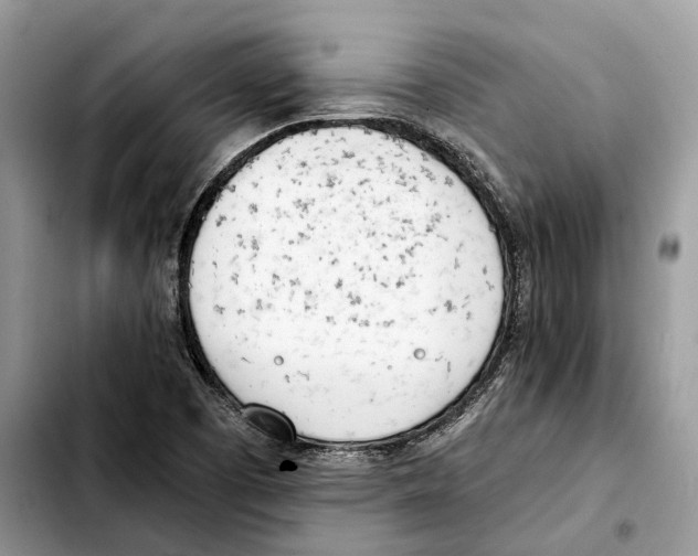 X0000103451457200810101116