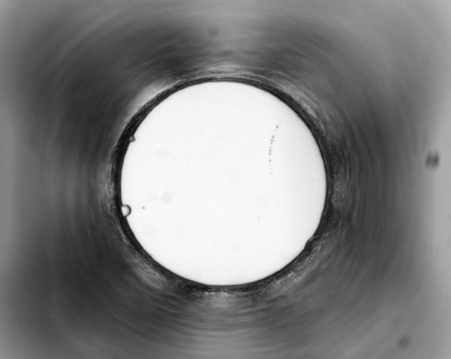 X0000103451458200810101116