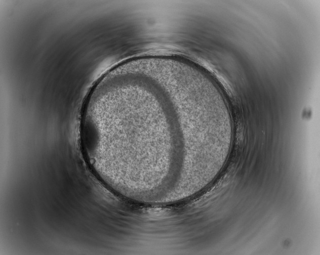 X0000103451459200810101116