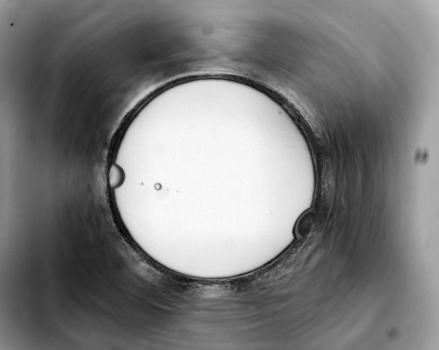 X0000103451460200810101116