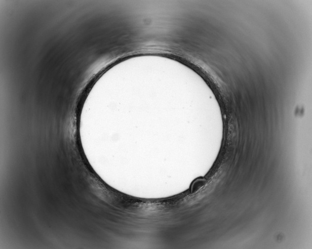 X0000103451461200810101116