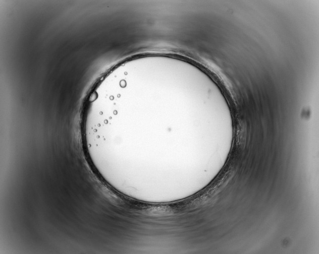 X0000103451464200810101116