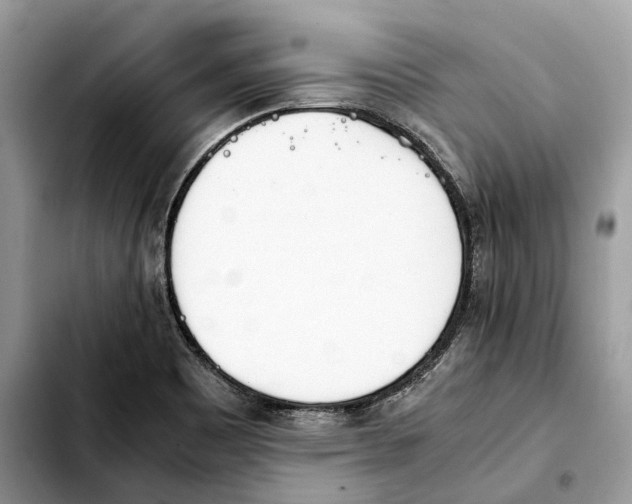 X0000103451465200810101116