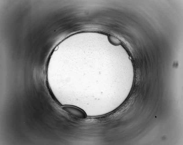 X0000103451467200810101116