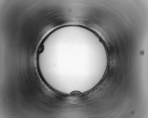 X0000103451468200810101116