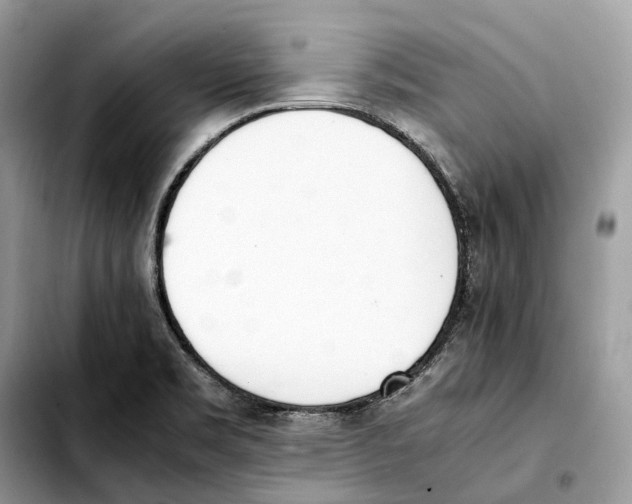 X0000103451469200810101116