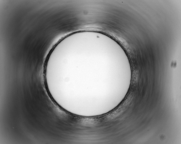 X0000103451470200810101116