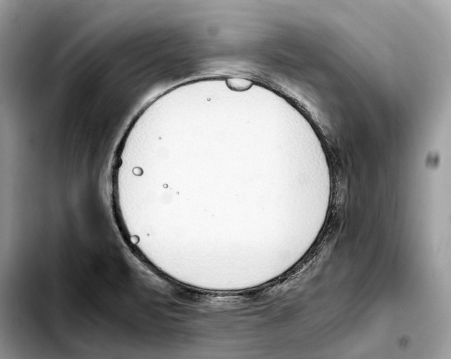 X0000103451471200810101116