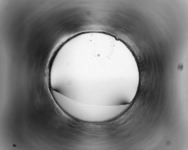 X0000103451472200810101116