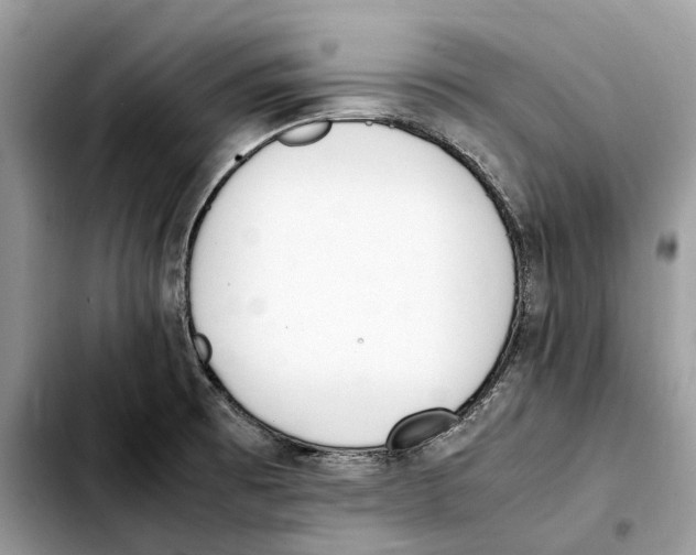 X0000103451473200810101116