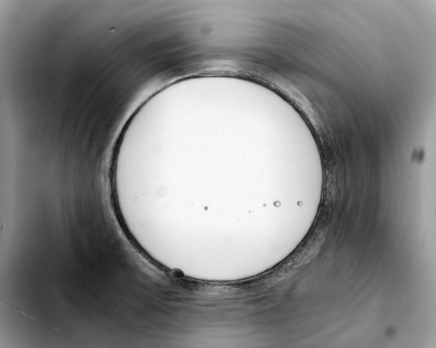 X0000103451475200810101116