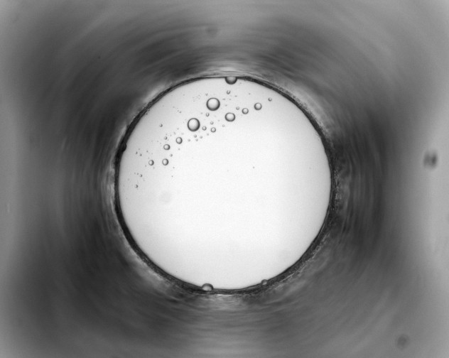 X0000103451476200810101116