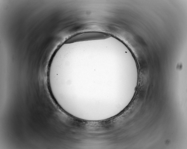 X0000103451477200810101116