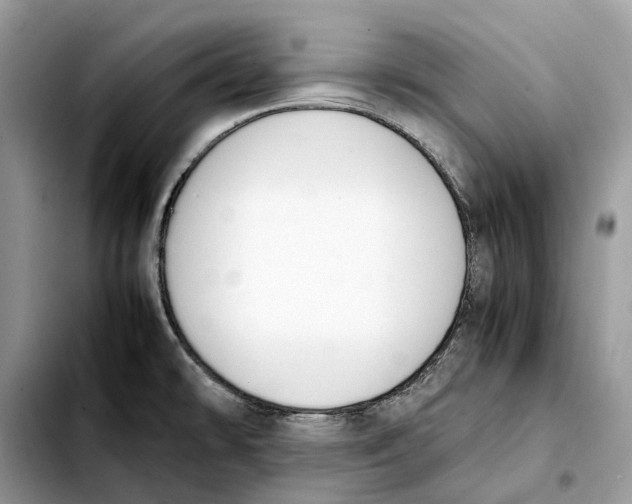 X0000103451478200810101116