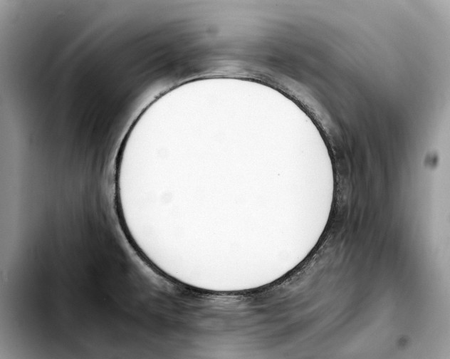 X0000103451479200810101116