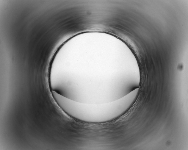 X0000103451480200810101116