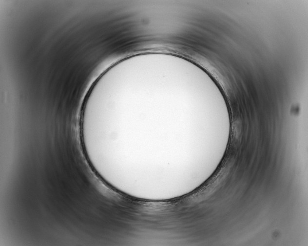 X0000103451482200810101116