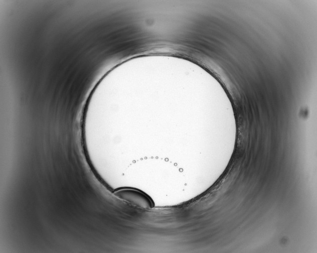 X0000103451483200810101116