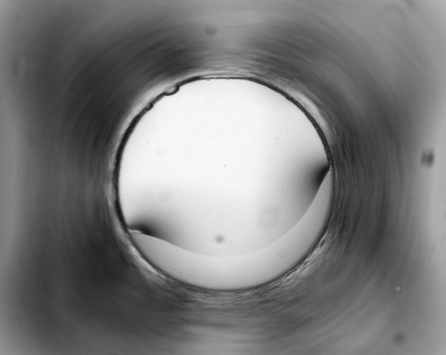 X0000103451485200810101116