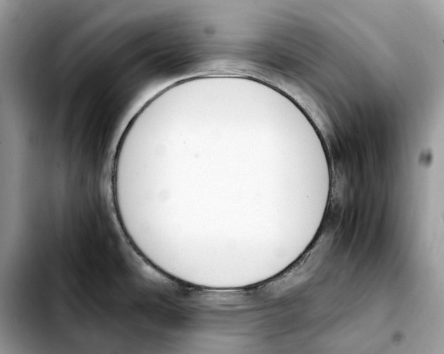 X0000103451486200810101116