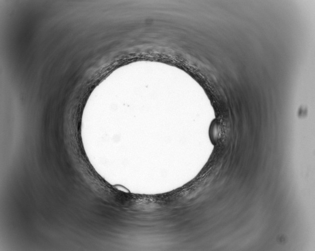 X0000103451489200810101115