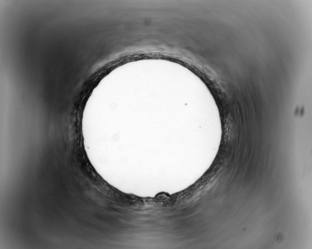 X0000103451494200810101115