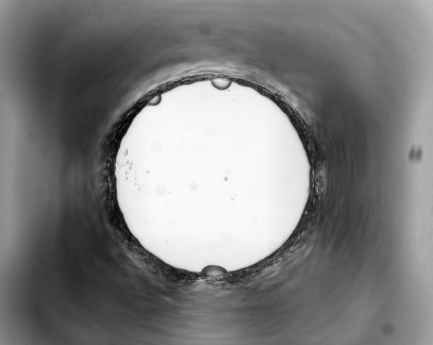 X0000103451496200810101115