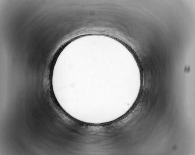 X0000103451498200810101115