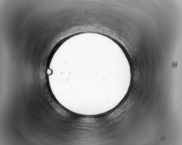 X0000103451499200810101115