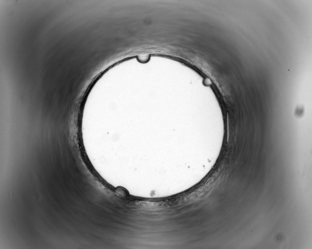 X0000103451500200810101115